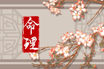 今日紫微黄历查询_八字测算紫微命盘_紫微黄道吉日查询_本命盘解析_紫薇星命盘解读