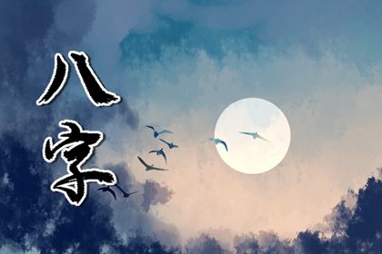 如何阅读一份排盘