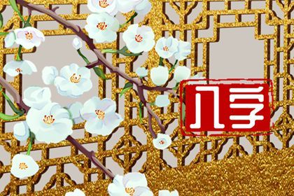 命宫、身宫与胎元